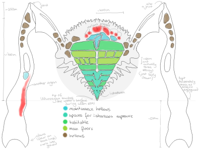 Quasi-cross-section of Udunneyaa. Quasi-cross-section of Udunneyaa.